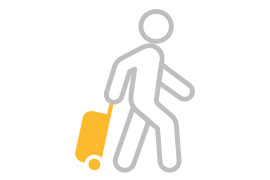 Travel Icon